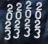 2023 earrings